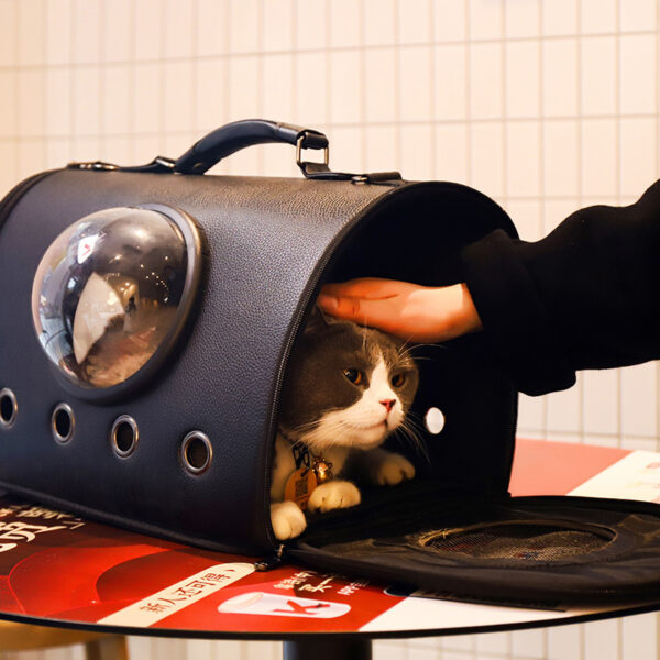 Cat Bag Space Capsule To Go Out And Portable Large-capacity Portable Diagonal - Image 2