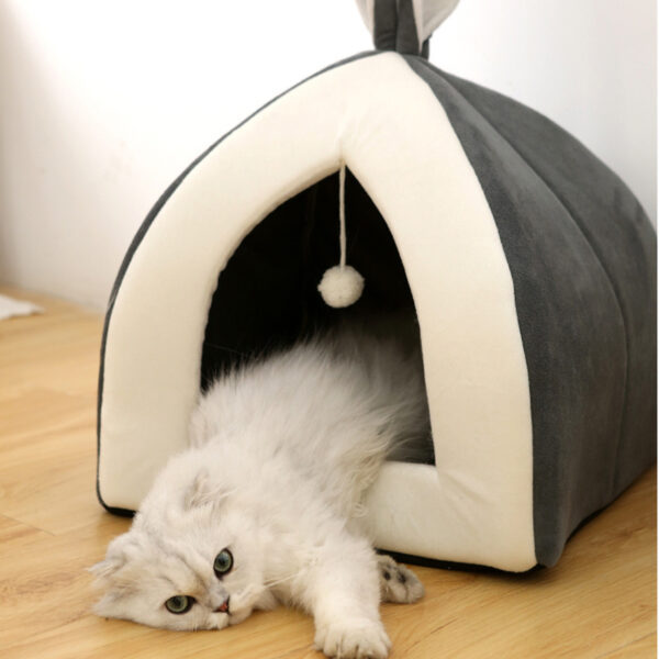 Pet Waterloo - Image 5
