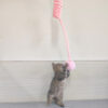 Cat Toy Self-Hi Sucker Spring Rabbit Hair Ball Interactive Play Pet Supplies Interactive Toys - Image 3