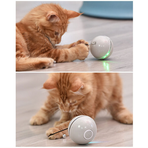 Colorful LED Laser Funny Cat Ball - Image 4