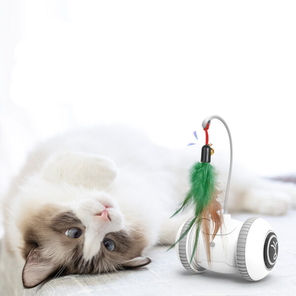 Interactive Cat Toy With Interchangeable Heads  Pet Feather Toys - Image 4