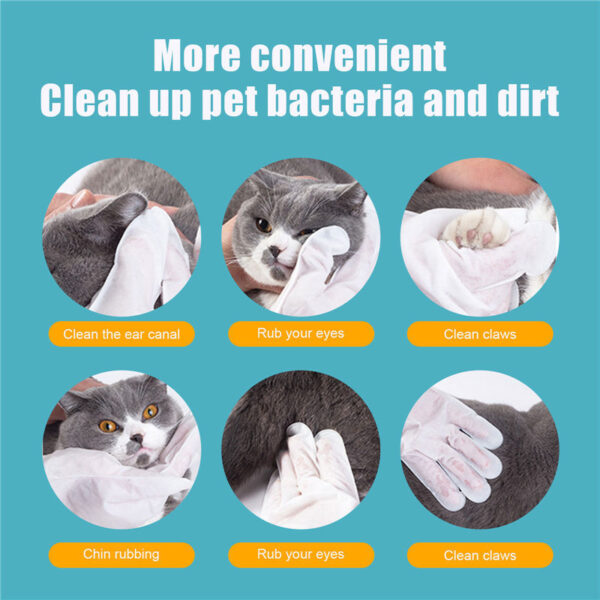 No-bath And Cat-free Non-woven Gloves - Image 5