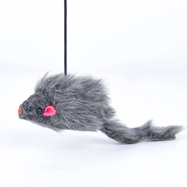 Pet Telescopic Hanging Door Small Mouse Pets Cat Toy - Image 2