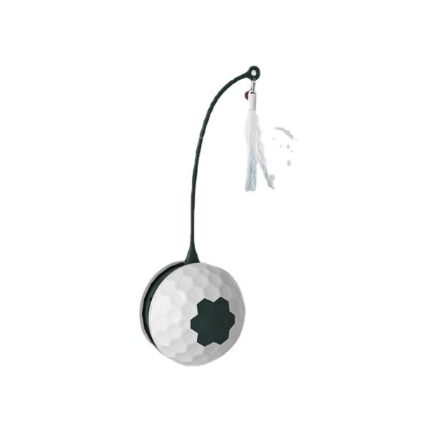 Enjoying Electric Intelligent Bite Resistant Cat Toys Pet Products - Image 5