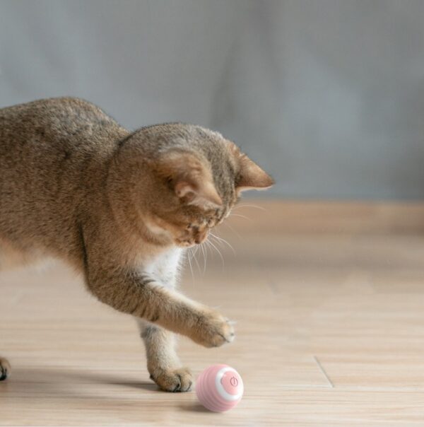 Automatic Moving Bouncing Rolling Ball Smart Cat Toy Ball Self-Moving Kitten Toy For Indoor Cat Kitten - Image 4