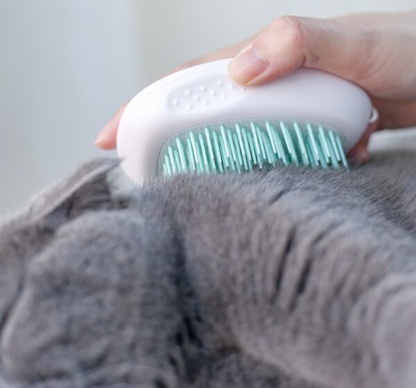 Brush Brush Cat Hair White Pet - Image 10