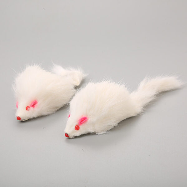 Pet Telescopic Hanging Door Small Mouse Pets Cat Toy - Image 10