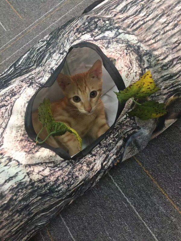 Tree Pattern Tunnel Pet Zhiyi Cat Toy Pets Supplies Dog Toys - Image 2