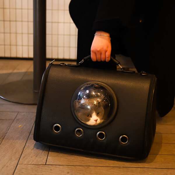 Cat Bag Space Capsule To Go Out And Portable Large-capacity Portable Diagonal - Image 4
