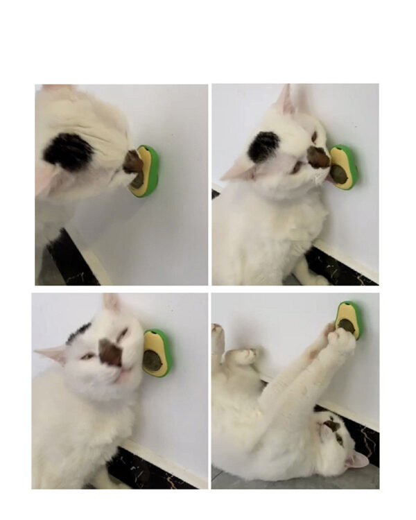 Avocado Cat Mint Multifunctional Catnip Toy 360 Rotating Self-healing Artifact Pet Supplies - Image 5