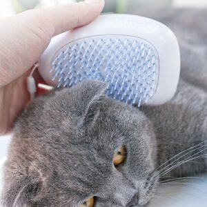 Brush Brush Cat Hair White Pet