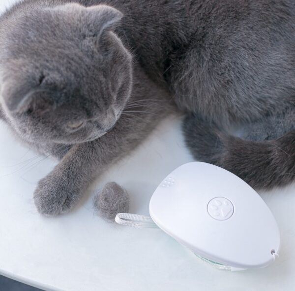 Brush Brush Cat Hair White Pet - Image 9