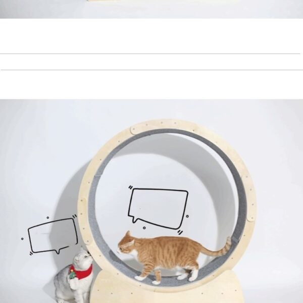 Special Toys For Cat Treadmill Roller - Image 5
