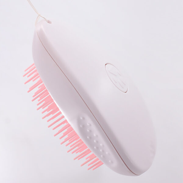 Brush Brush Cat Hair White Pet - Image 2