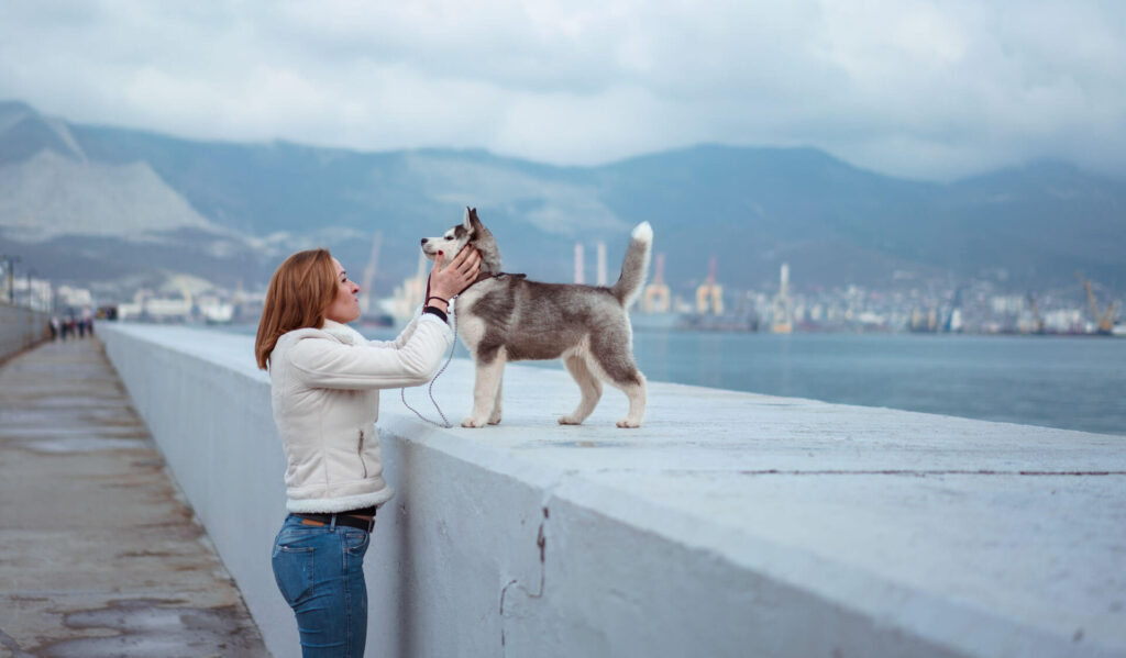 Puppy Training Basics