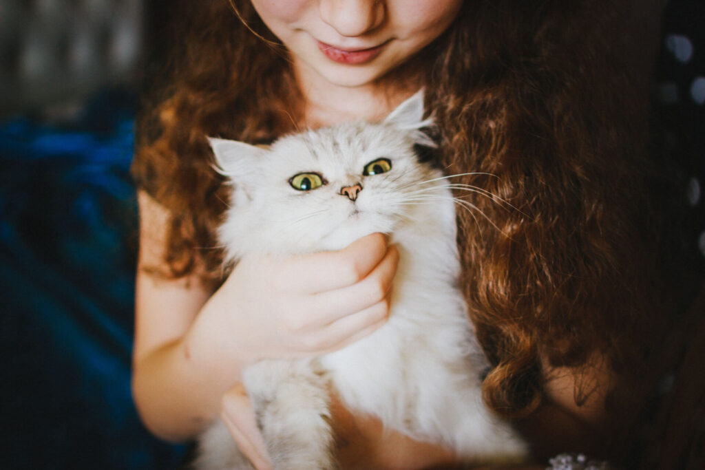 Safe Pet Materials