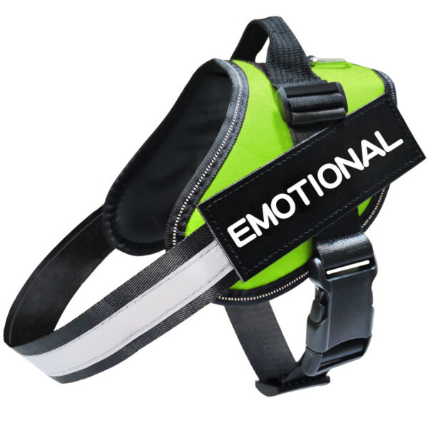 Reflective Dog Leash, Dog Leash, Dog Harness - Image 7