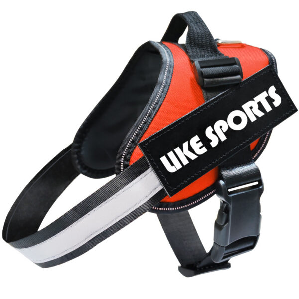 Reflective Dog Leash, Dog Leash, Dog Harness - Image 5
