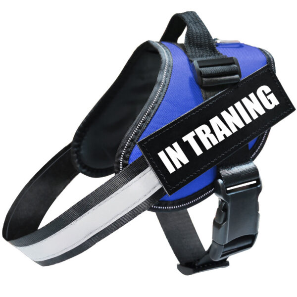 Reflective Dog Leash, Dog Leash, Dog Harness - Image 2