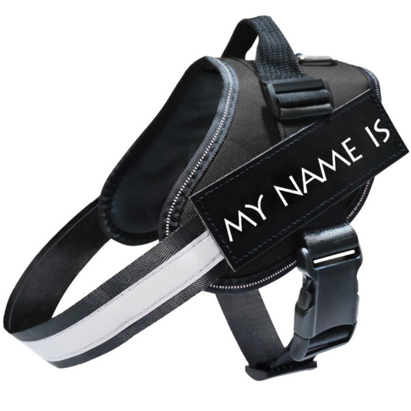 Reflective Dog Leash, Dog Leash, Dog Harness - Image 3