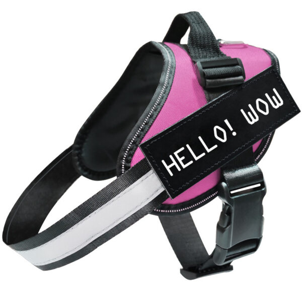 Reflective Dog Leash, Dog Leash, Dog Harness - Image 4