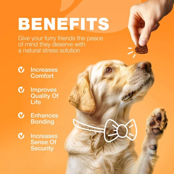 Dog Allergy Relief Chews Itch Relief For Dogs Anti Itch Dog Allergy Chews US Formulated Dog Itching Skin Relief With Salmon Oil Immune Health Seasonal Allergies & Hot Spots Support Treats - Image 7
