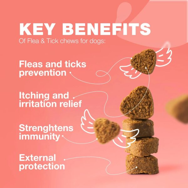 Chewier Dog Flea And Tick Treatment Chews FleaTick Prevention For Dogs Chewables Natural Dog Flea & Tick Control Soft Treats Immune Support Supplement - Image 4