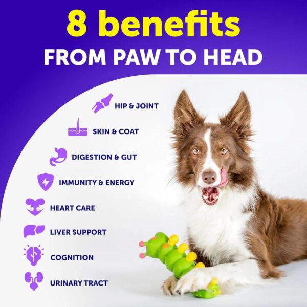 Dog Multivitamin Chewable With Glucosamine 20 In 1 Dog Vitamins And Supplements Senior & Puppy Multivitamin For Dogs Pet Joint Support Health Immunity Mobility Gut Skin 120 Chews - Image 2