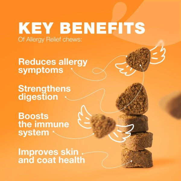 Dog Allergy Relief Chews Itch Relief For Dogs Anti Itch Dog Allergy Chews US Formulated Dog Itching Skin Relief With Salmon Oil Immune Health Seasonal Allergies & Hot Spots Support Treats - Image 6