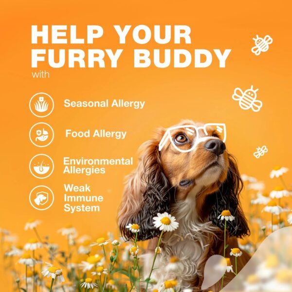 Dog Allergy Relief Chews Itch Relief For Dogs Anti Itch Dog Allergy Chews US Formulated Dog Itching Skin Relief With Salmon Oil Immune Health Seasonal Allergies & Hot Spots Support Treats - Image 3