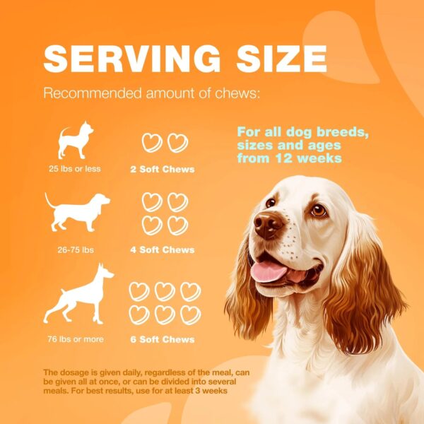 Dog Allergy Relief Chews Itch Relief For Dogs Anti Itch Dog Allergy Chews US Formulated Dog Itching Skin Relief With Salmon Oil Immune Health Seasonal Allergies & Hot Spots Support Treats - Image 8
