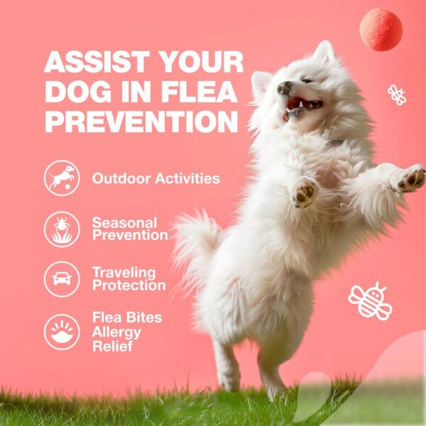 Chewier Dog Flea And Tick Treatment Chews FleaTick Prevention For Dogs Chewables Natural Dog Flea & Tick Control Soft Treats Immune Support Supplement - Image 6