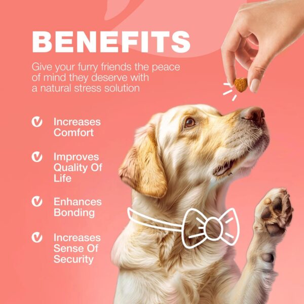 Chewier Dog Flea And Tick Treatment Chews FleaTick Prevention For Dogs Chewables Natural Dog Flea & Tick Control Soft Treats Immune Support Supplement - Image 2