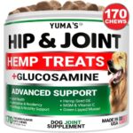 Hemp Hip And Joint Supplement For Dogs Glucosamine For Dogs Joint Pain Relief With MSM Advanced Dog Joint Supplement Health Glucosamine For Dogs Chews