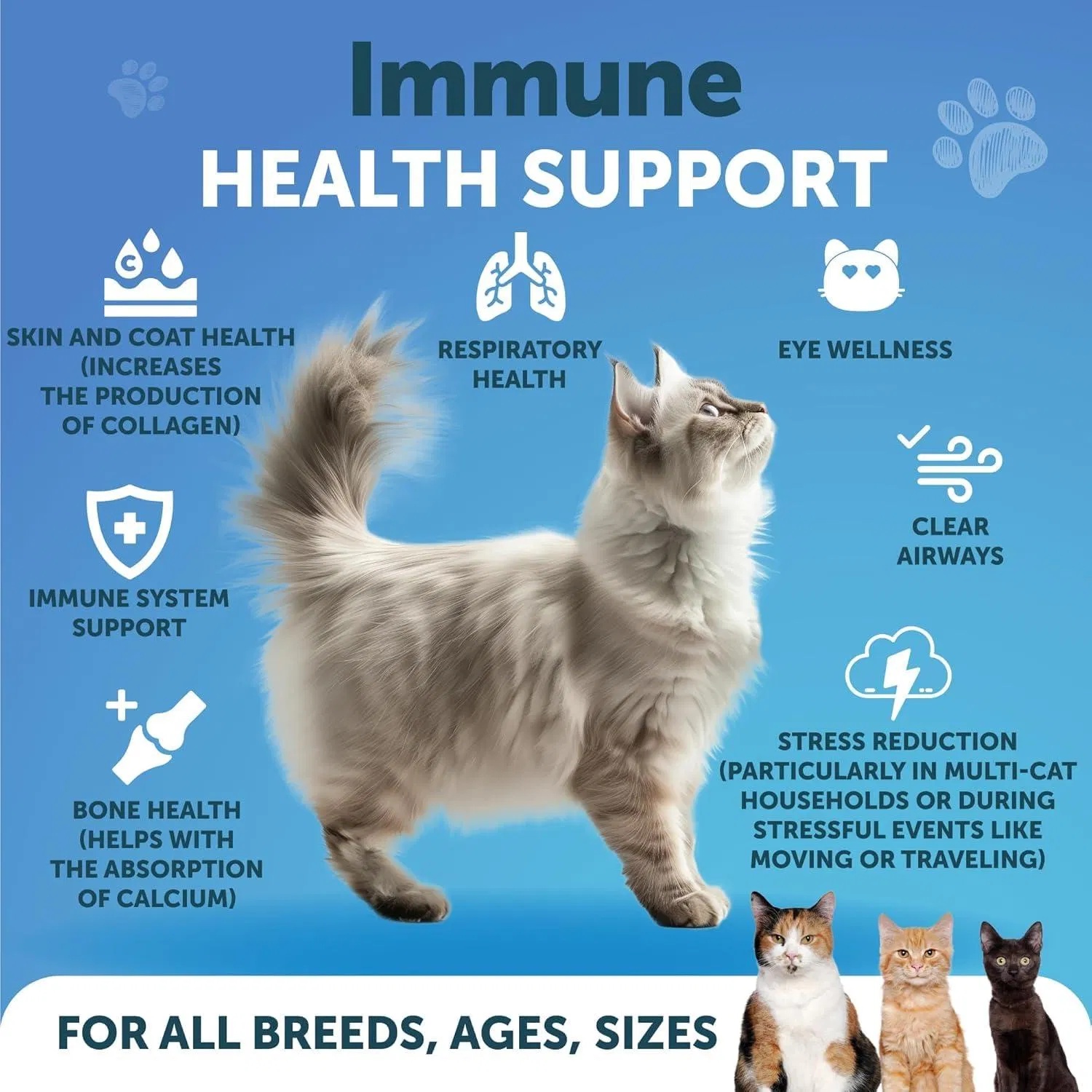 L Lysine For Cats Lysine Powder Supplement 900mg Serving Immune Support For Cats & Kittens Sneezing Runny Nose Squinting Watery Eyes Cold Eye Respiratory Health With Taurine - Image 7